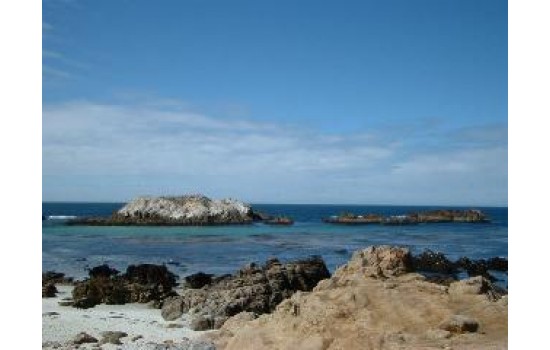 モントレー カーメルツアー